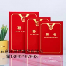 聘書(shū)B(niǎo)4