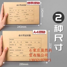 A4會計(jì)記賬憑證（25套/包）