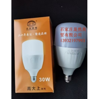 LED燈泡30W