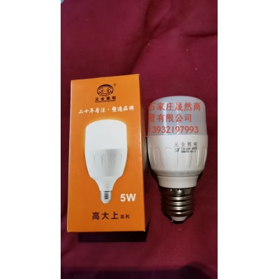 LED5W燈泡