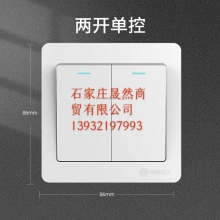 墻壁開關 雙開 10個裝